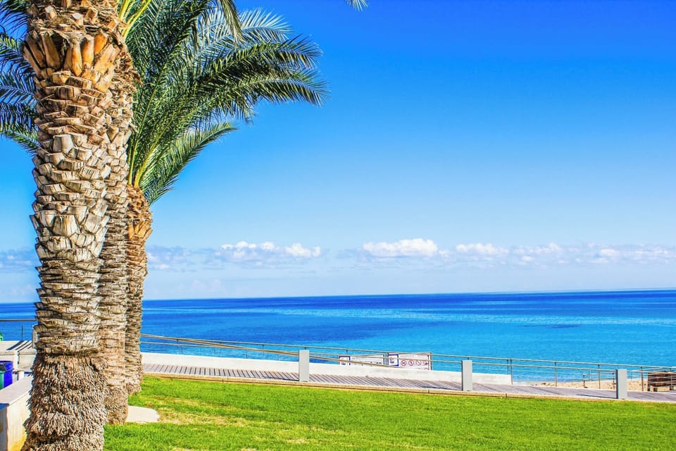 nearby beach area