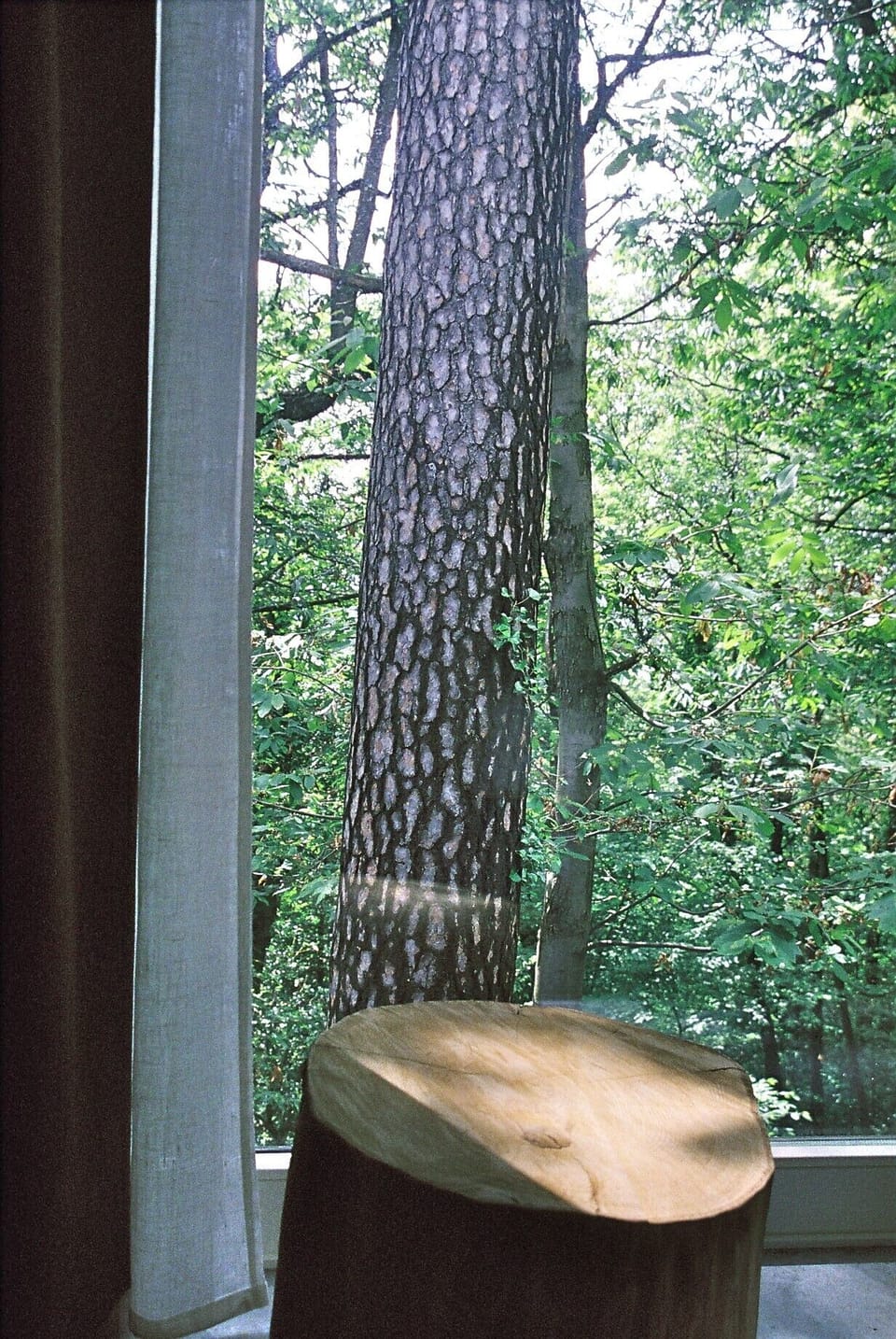 Room 2 - panorama