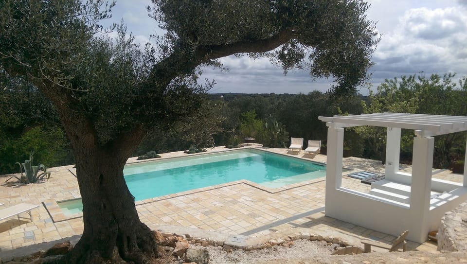 Plenty of deck space surrounding pool for sun bathing (6 loungers), entertaining