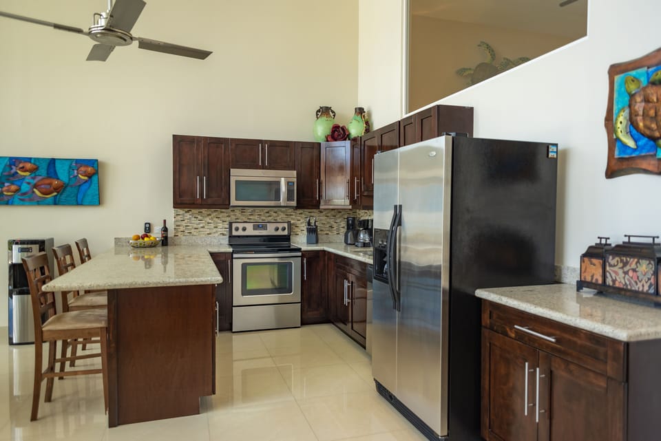 STAINLESS STEEL APPLIANCES, GRANITE COUNTERTOPS AND SOME LOCAL ART