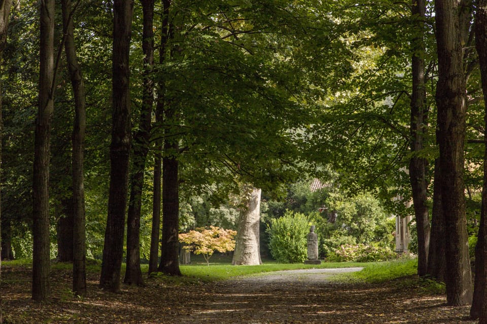 The park