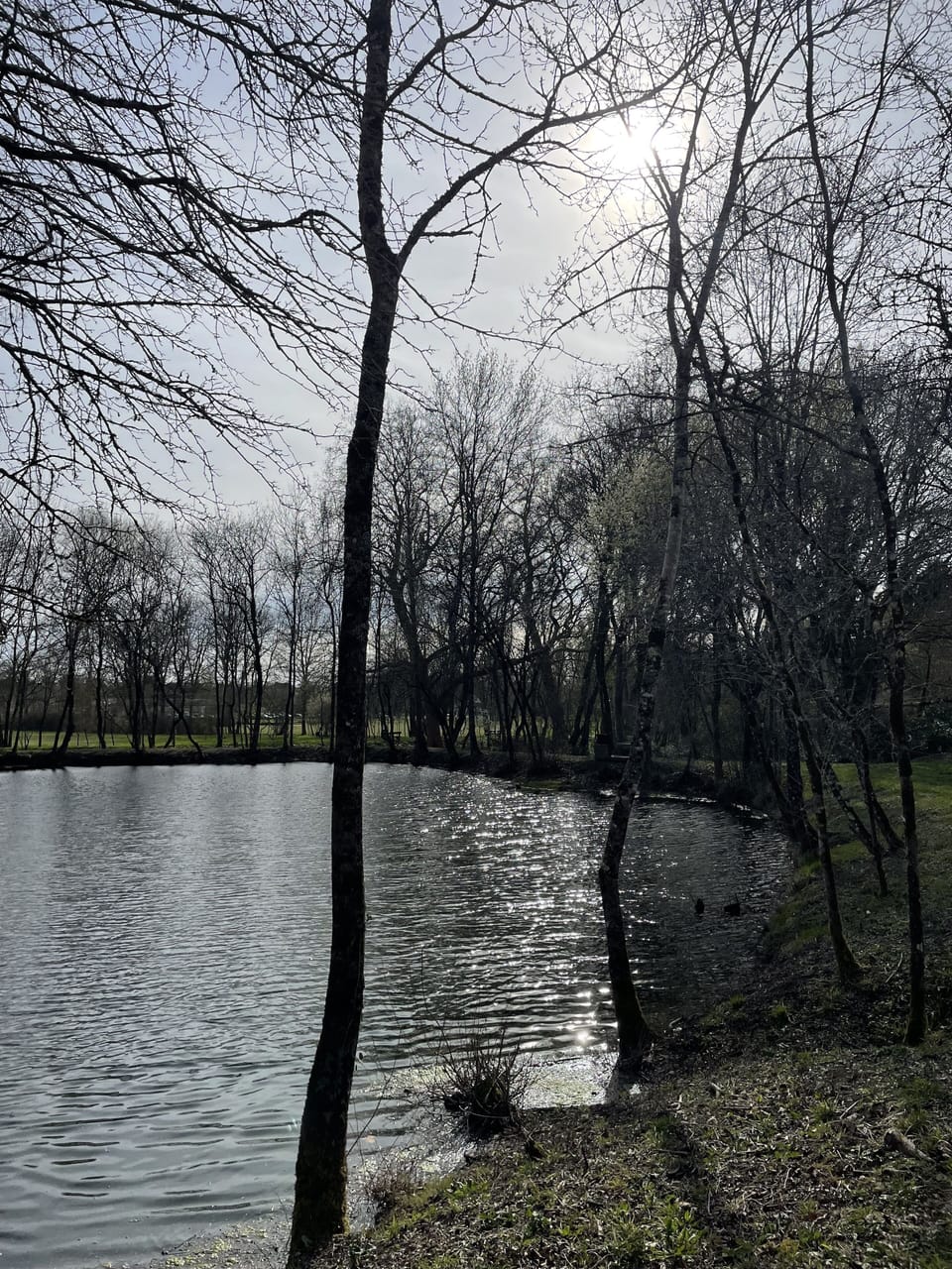 A few minutes from your doorstep is this pond - complete with benches to rest