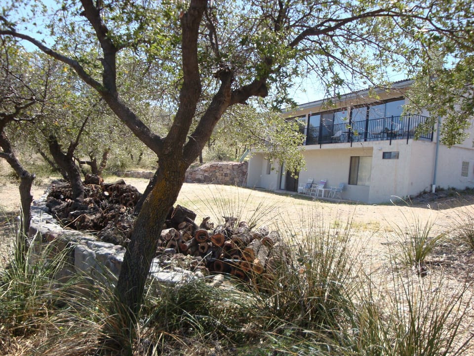 Back of house