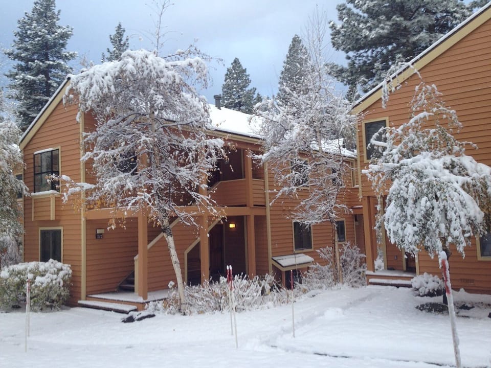 Ground Floor Unit
