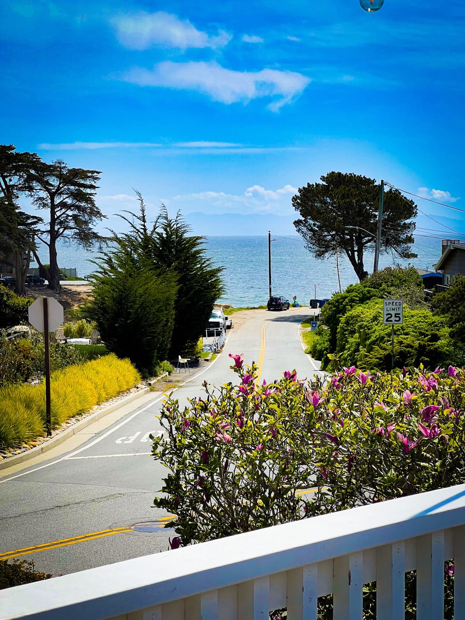 Gorgeous ocean view from deck, family room and dining room. Steps to the beach.