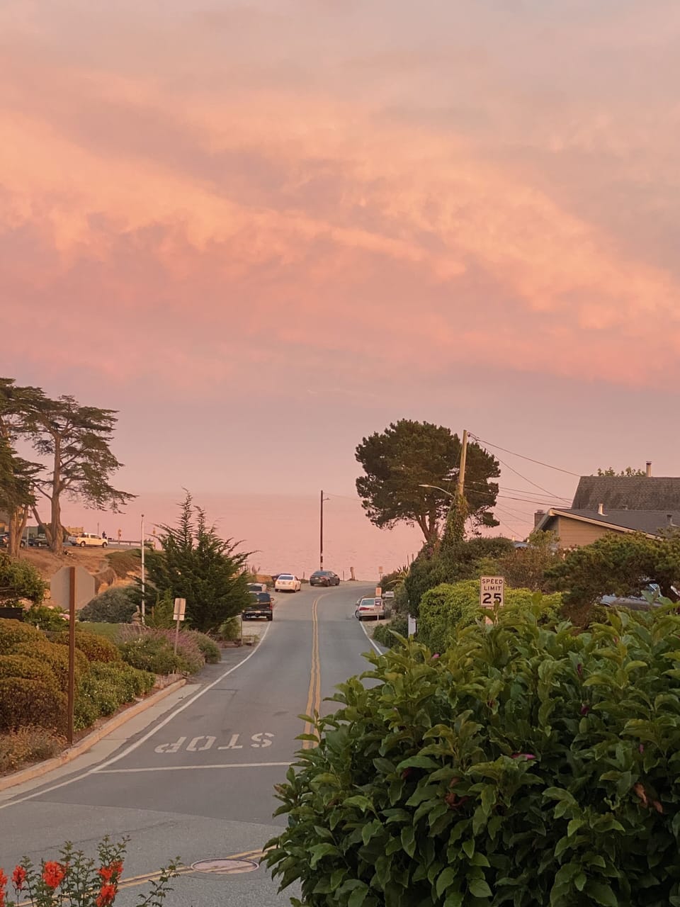Pink sunset from the deck, looking toward the ocean