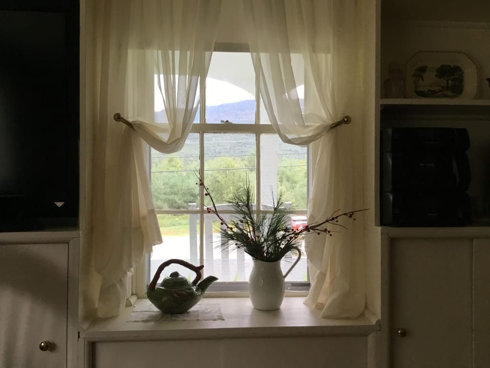Family Room Window.