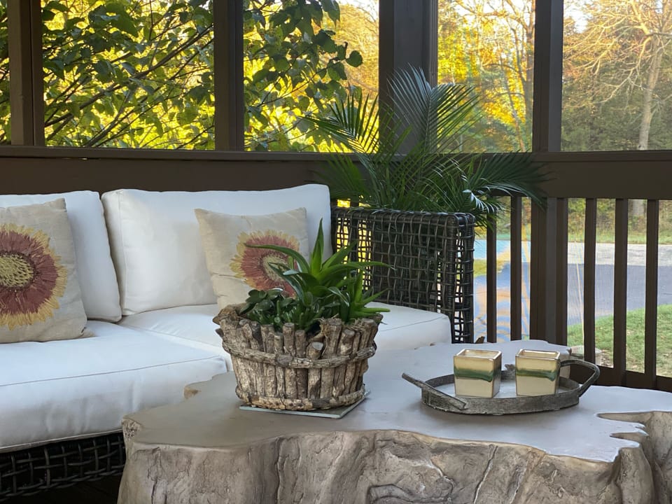 Sofa in the Screened room