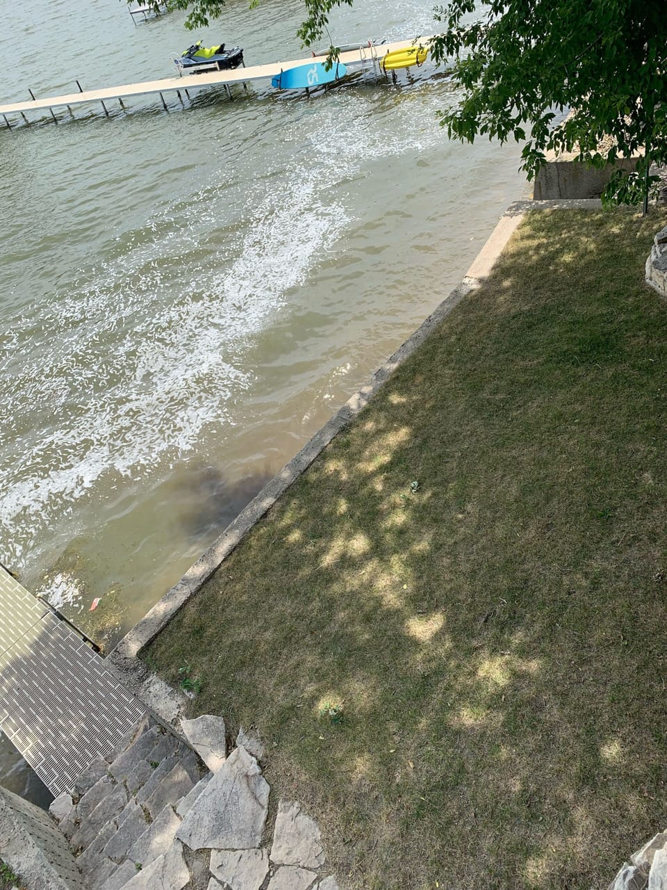 Mini lakeside yard for our furry guests to use! 