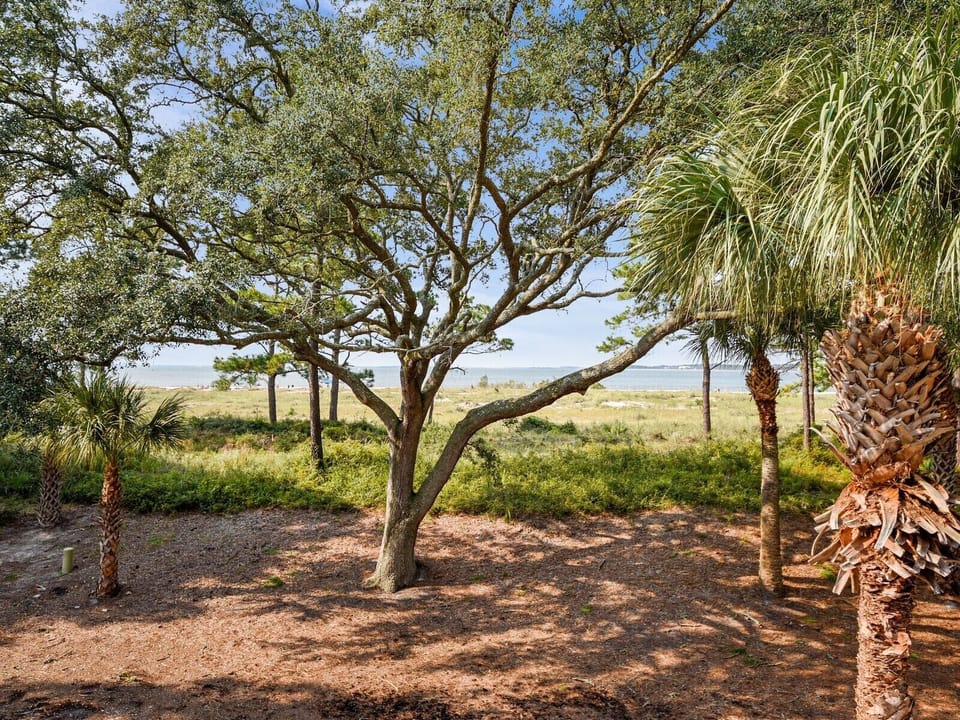 Direct Walkout to the Beach from the Back of 1414 South Beach Villa