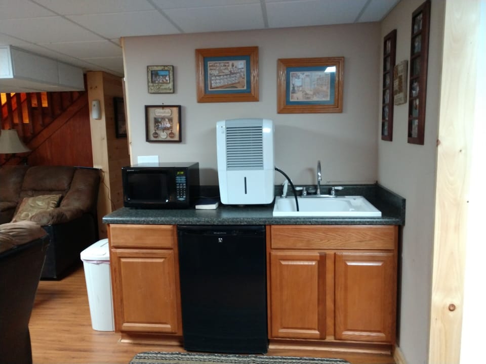 Wet Bar in Den
