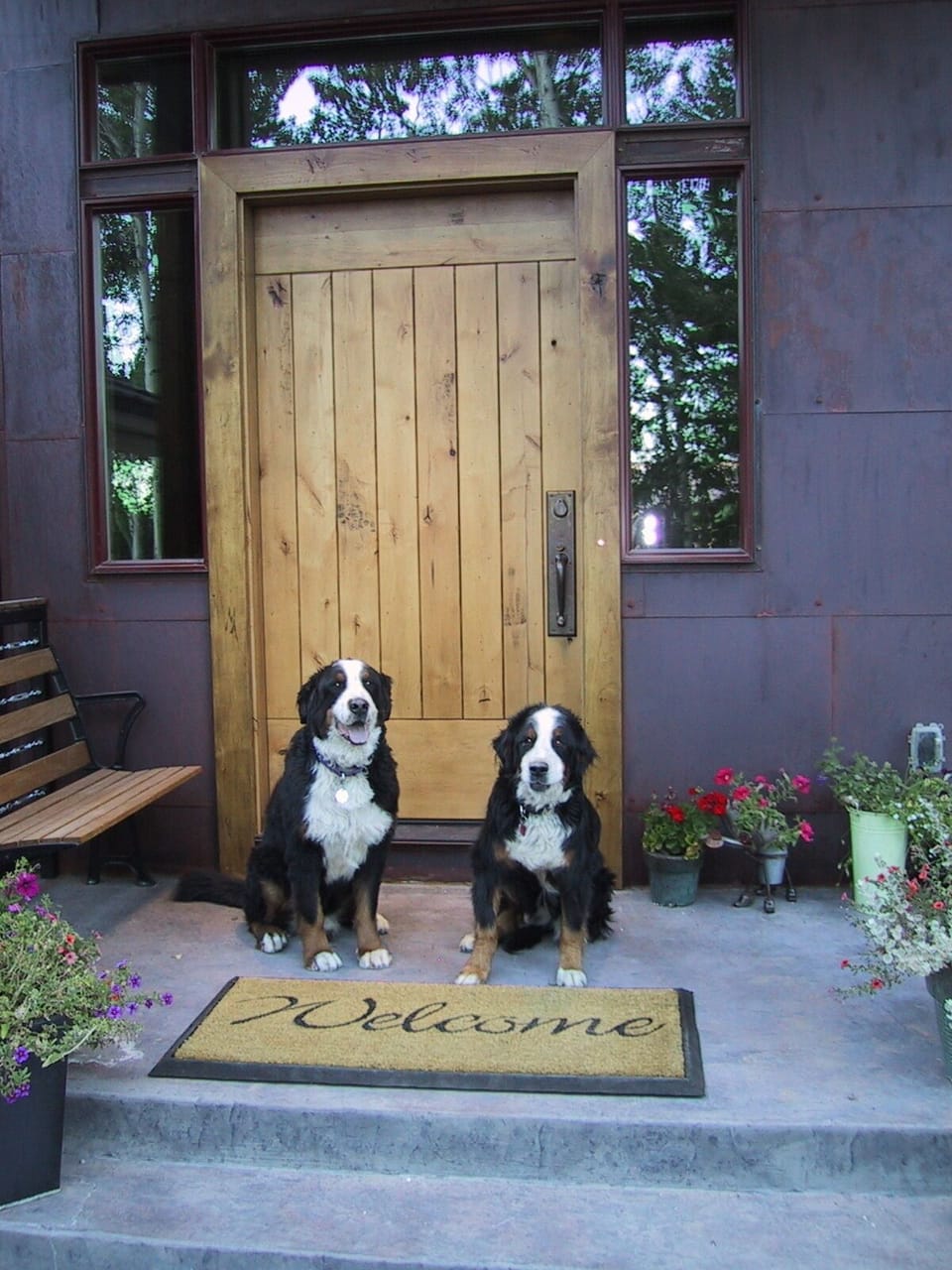 Welcome! Sorry, Bernese Mountain Dogs Not Included.