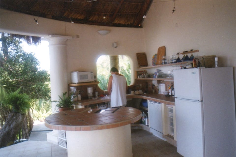 Looking into the kitchen