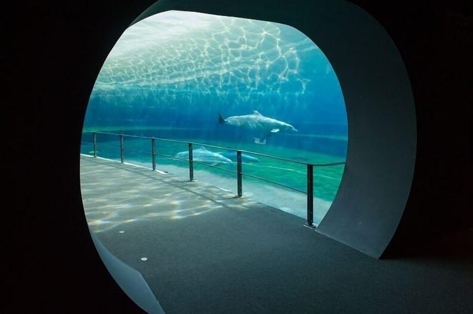 West, 300m: Expo area and the Aquarium