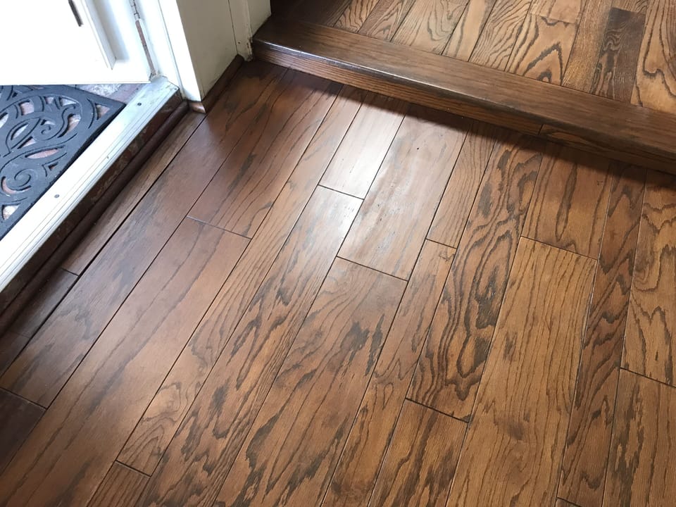 Very small step down from front door into entryway and small up into living room