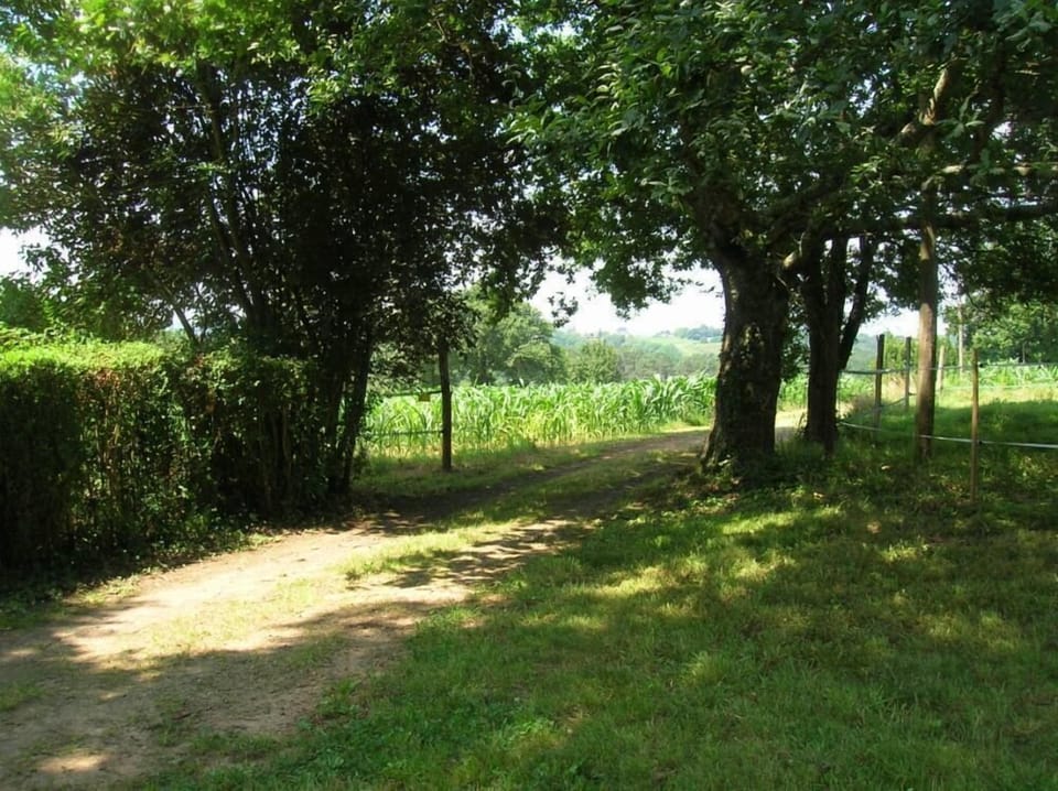 Garden, Park