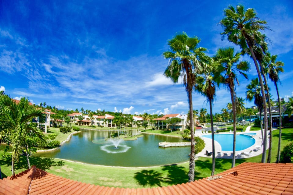 Amazing views from your patio of the main pool and beautiful lake and gardens.
