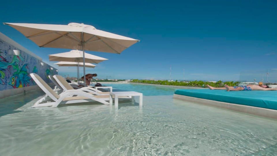 Pool Roof