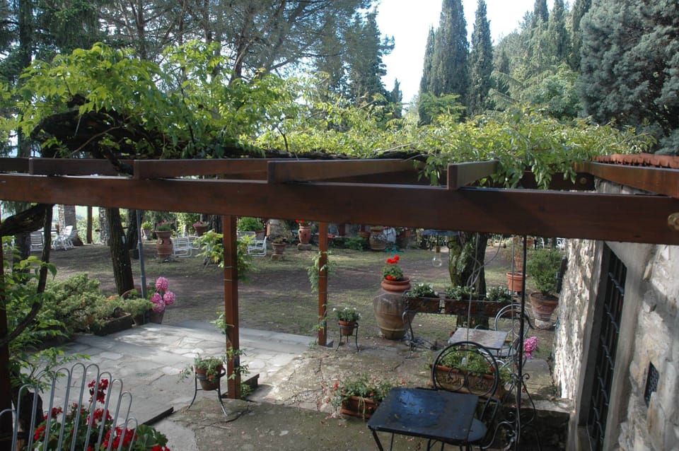 The Pergola in the garden