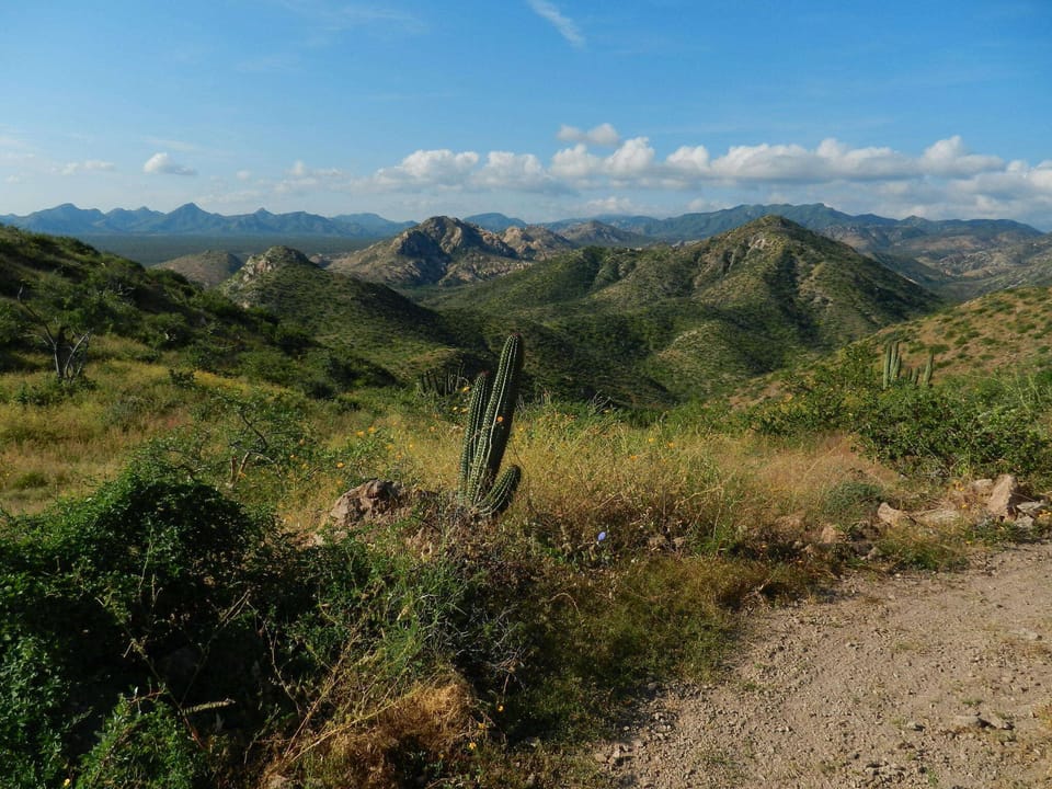 20 miles of intersecting hiking trails with gorgeous views!