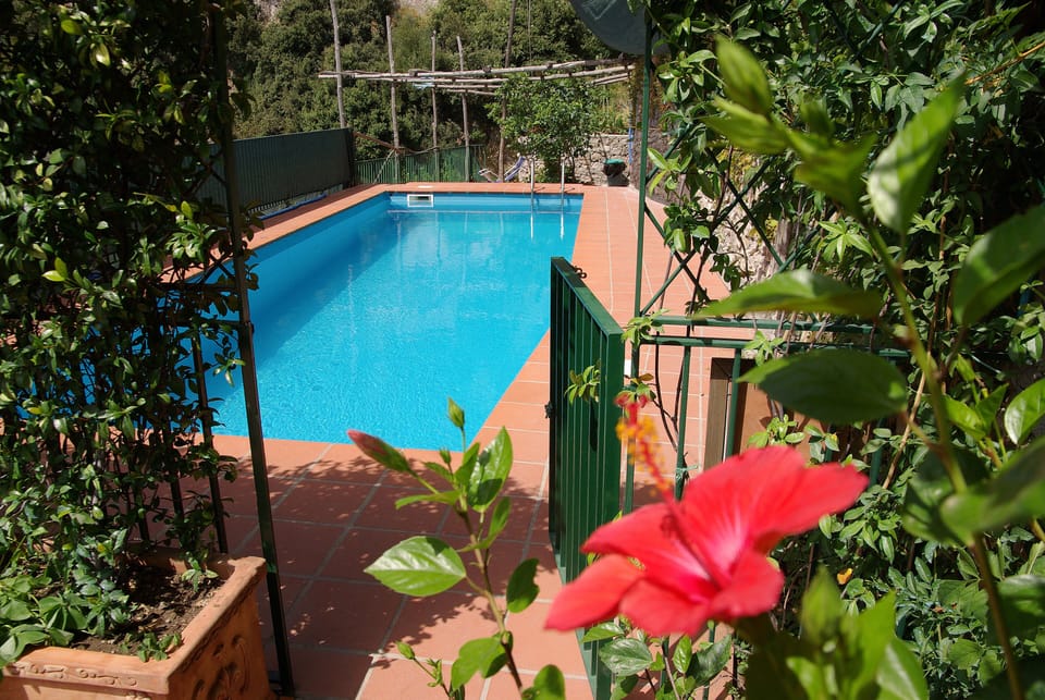 Large Pool