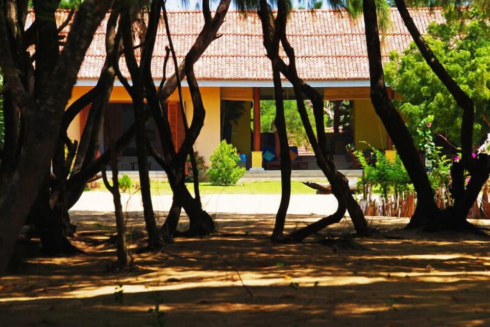 A short walk through a tropical garden of palms to your private beach 