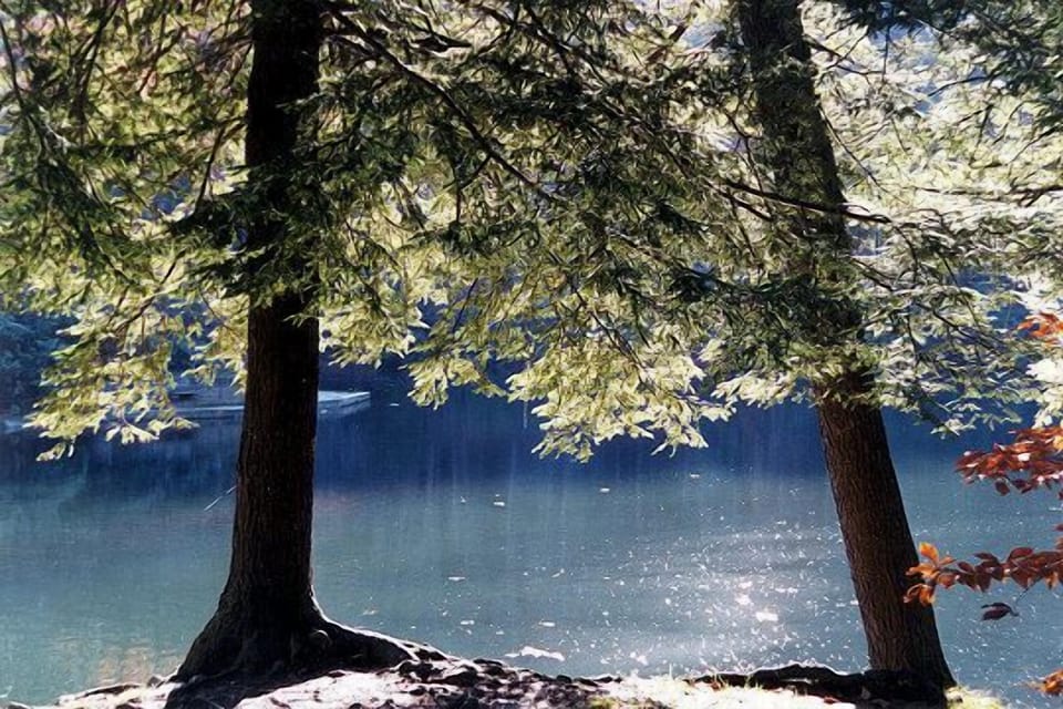 Walk to State Park with beautiful lake