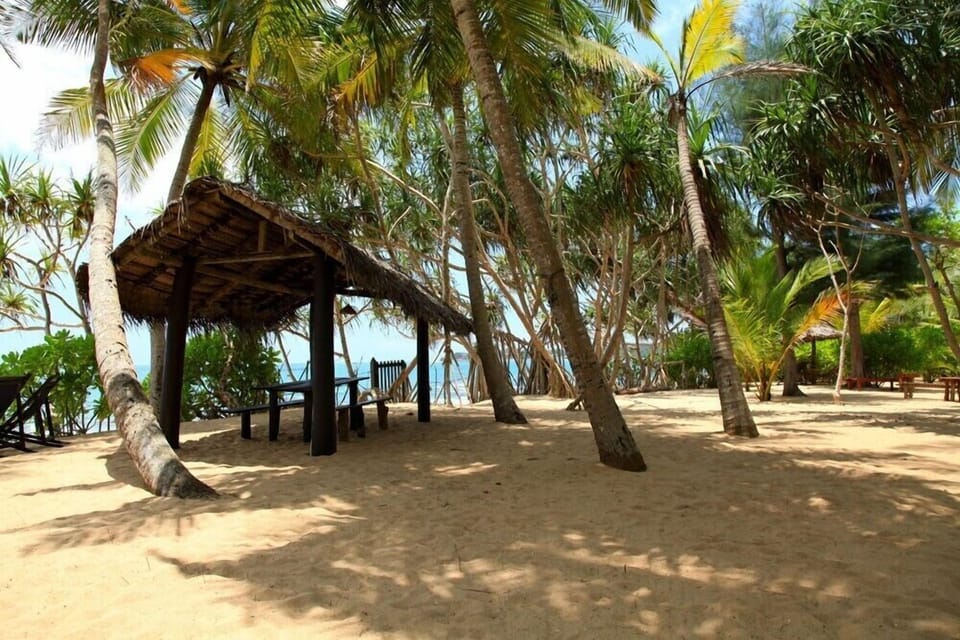 Beach Garden 4