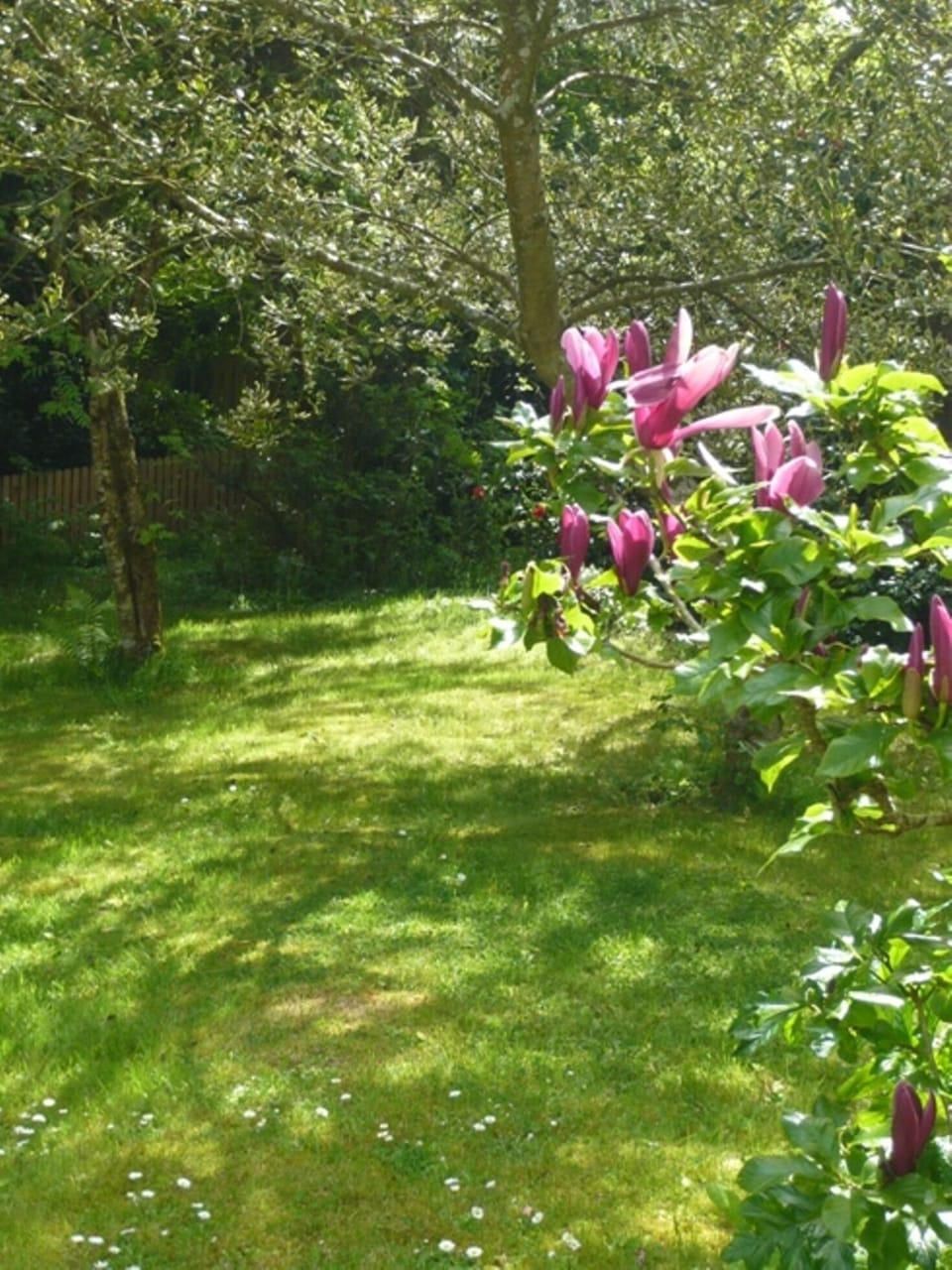 Part of front garden