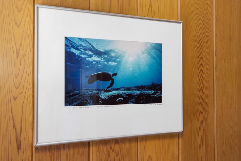 Local artwork throughout the house. The bedrooms are located on opposite sides of the home.