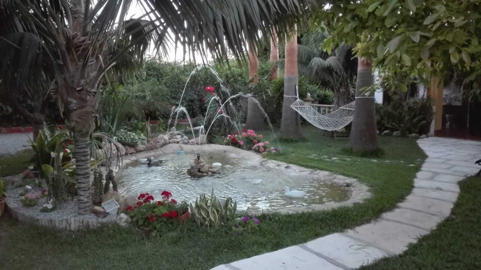 Property grounds