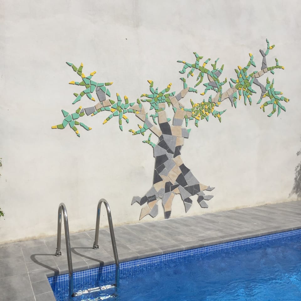 The pool is checked twice weekly and is brome, less harmful to the skin and kit
