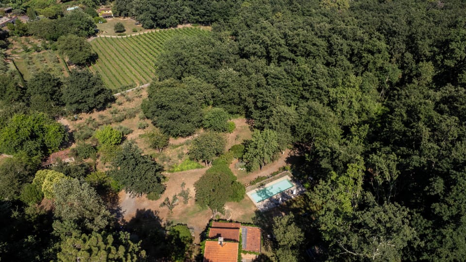 BioPark Lerici PiandellaChiesa Airbnb Nature