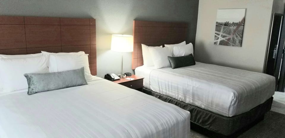 Standard Room, 2 Queen Beds, Non Smoking, Refrigerator & Microwave | Hypo-allergenic bedding, desk, laptop workspace, blackout drapes