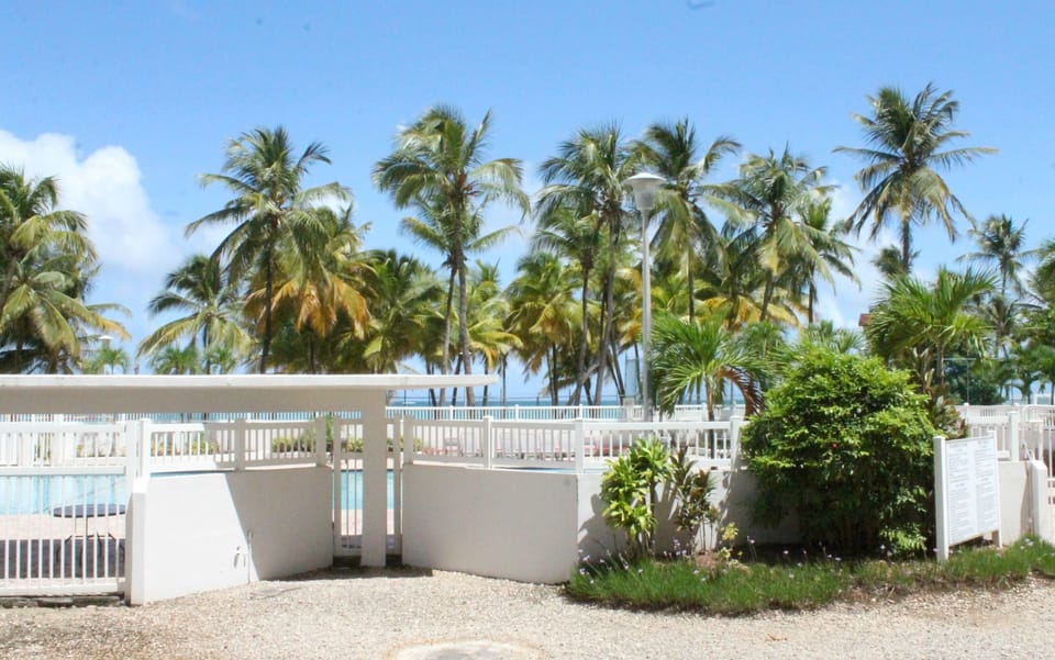 View from Balcony