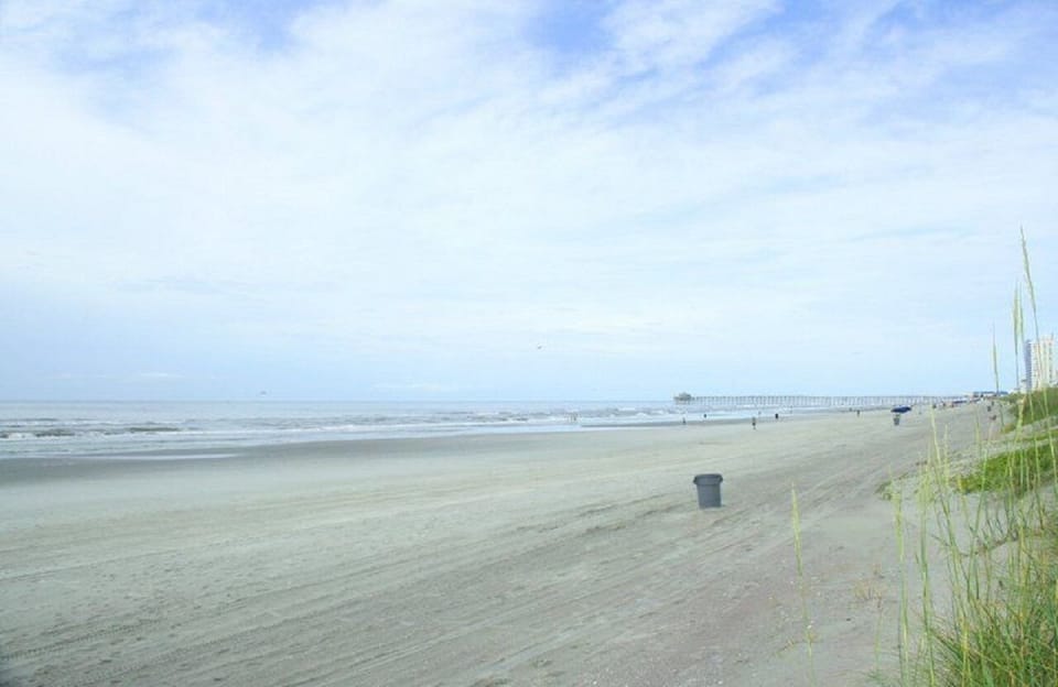 View of beach directly behind KVV.