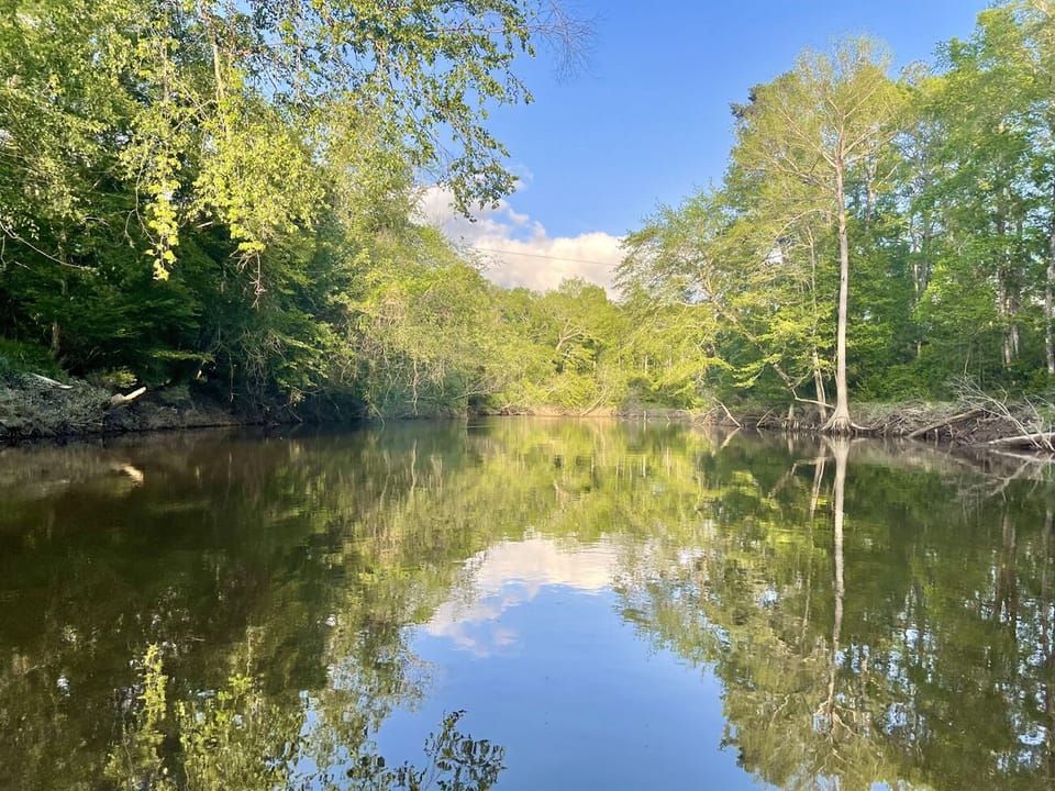 Creek