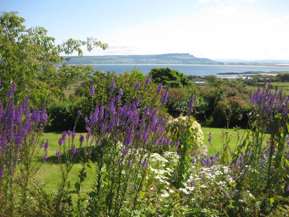 View of Magilligan Point from the garden