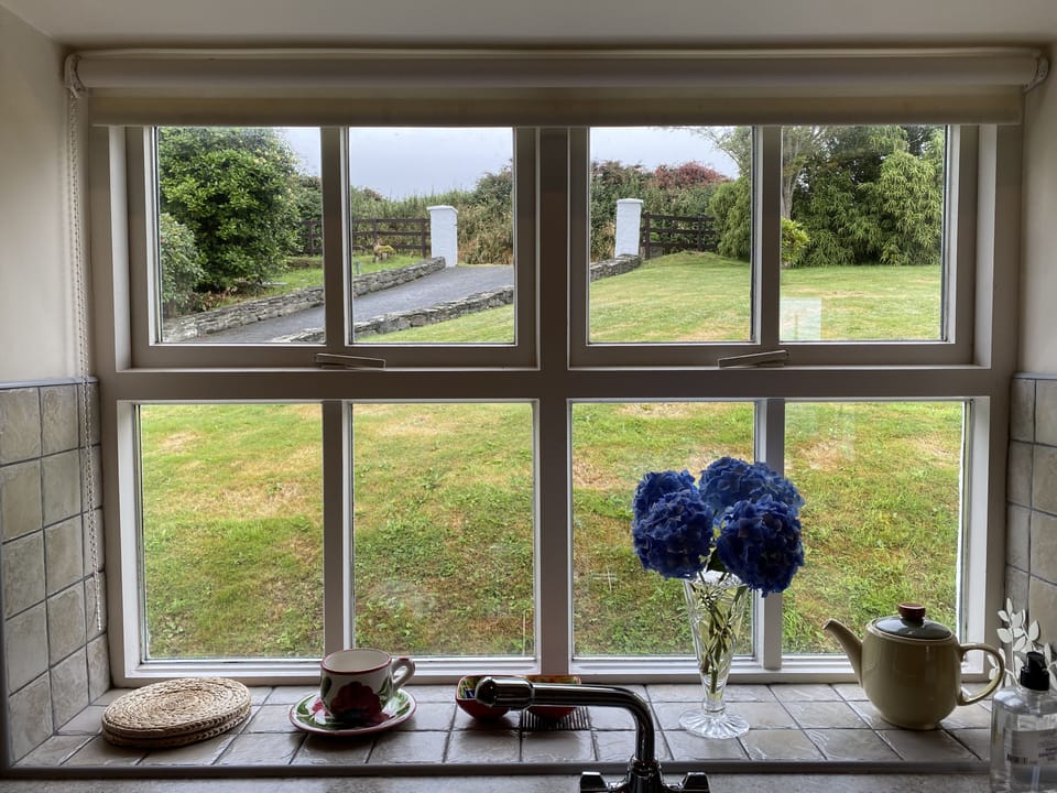 View From Kitchen Window