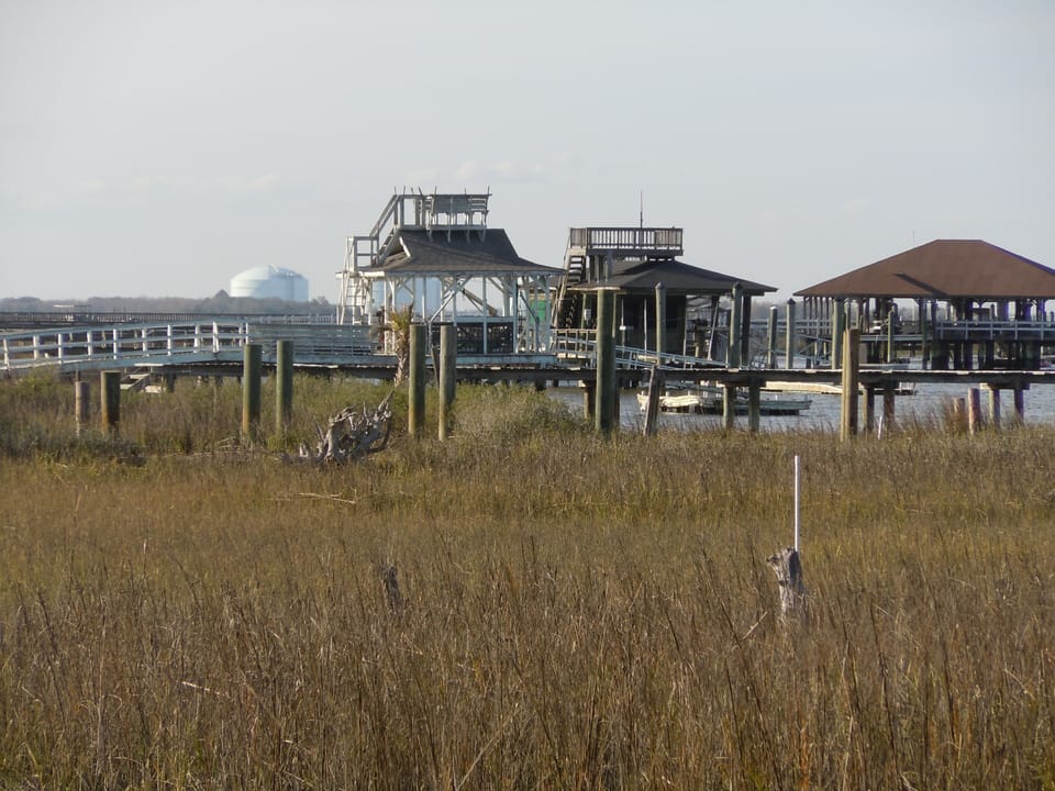 Views of Savannah's savannahs! Historic Savannah is 20 minutes away!  