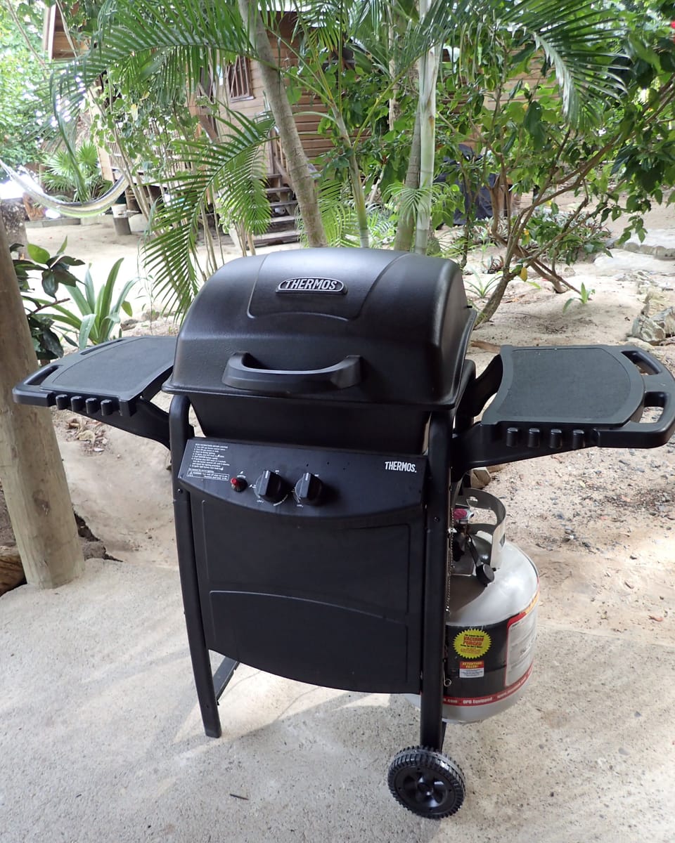 Gas grill included