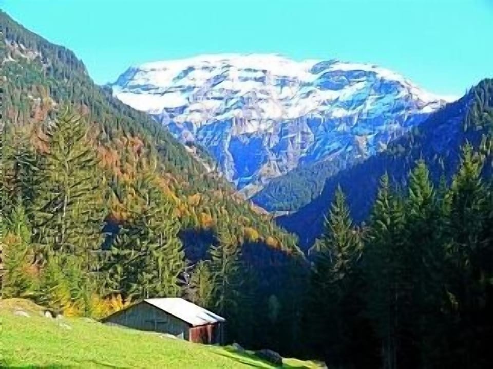 Above Sixt in Autumn