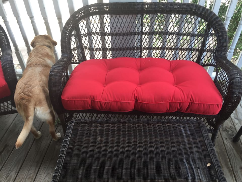 Front balcony (dog not included).
