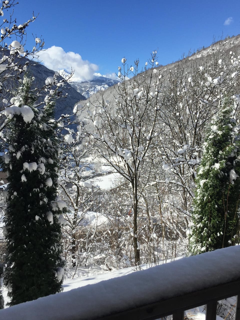 View from property
