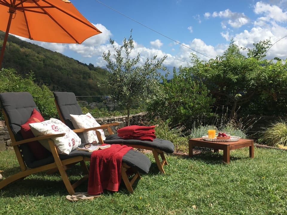 A few steps down from the terrace into the enclosed garden for more relaxing!