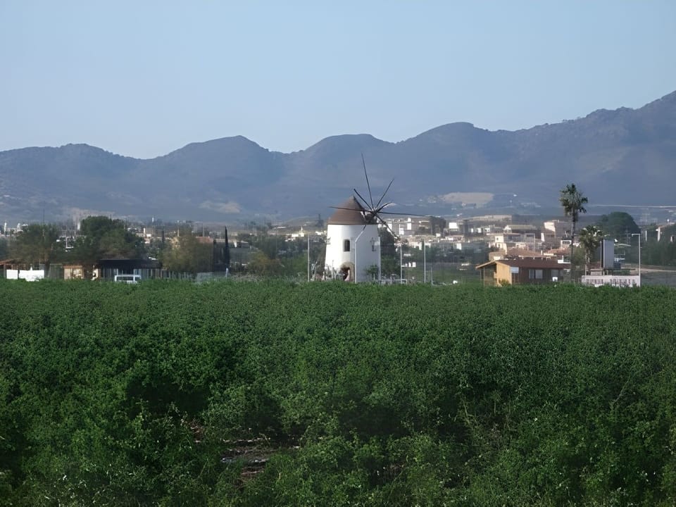 View from the terrace