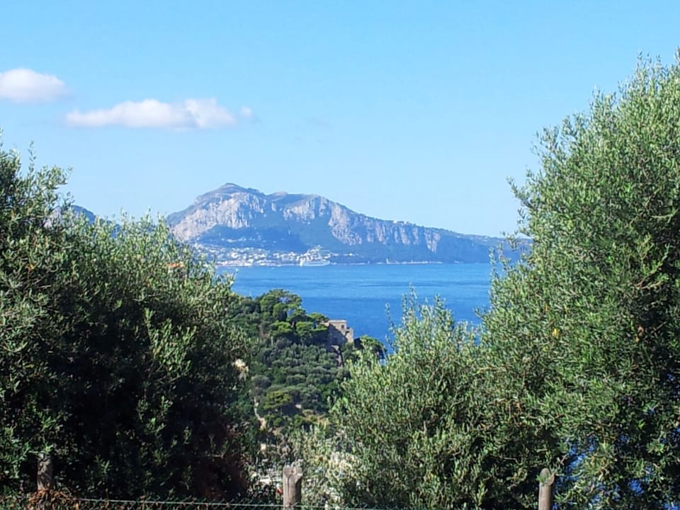 "TESSA'S HOLIDAY" Beachfront Villa on the Sorrento Coast, near Capri and Pompeii Chalet in Massa Lubrense