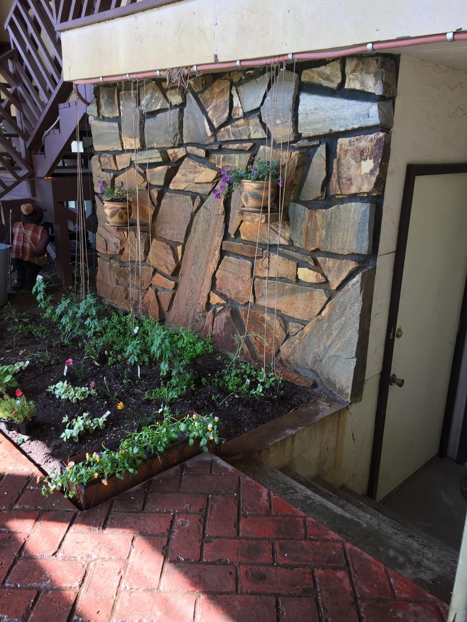 Fragrant greenhouse entrance to daylight basement apartment
