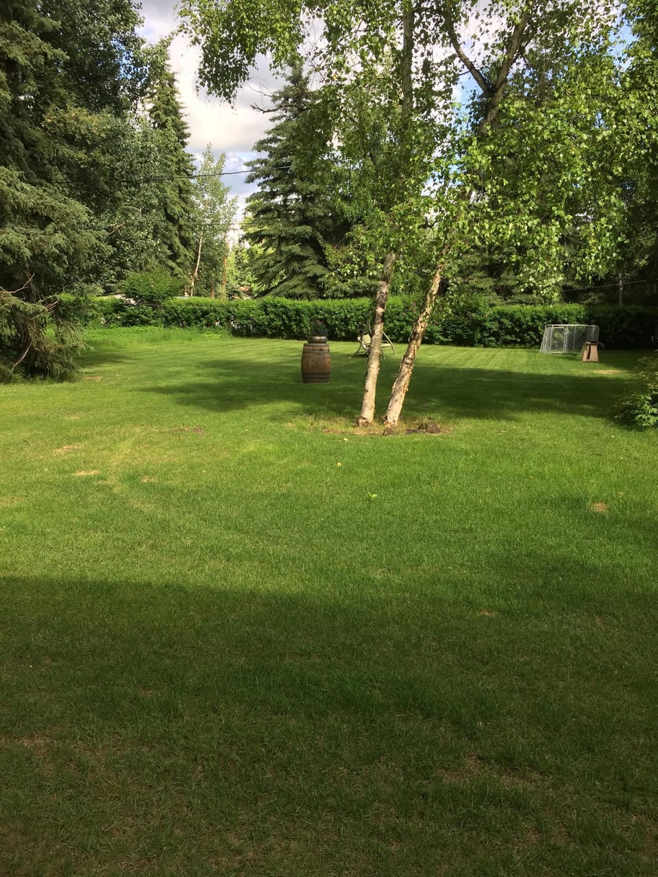 A large backyard for BBQ or relaxing in a swinging chair