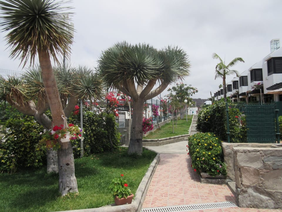 bungalows views